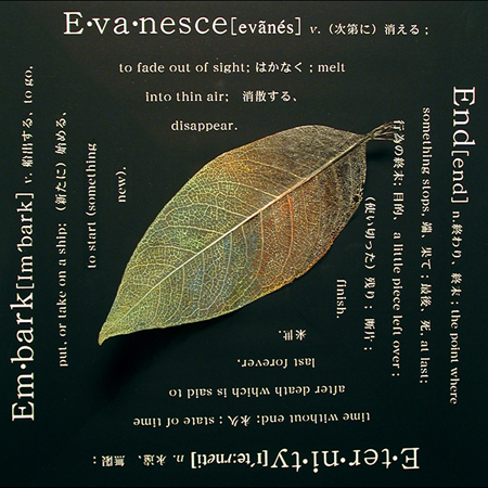 "E" by Eriko Takahashi